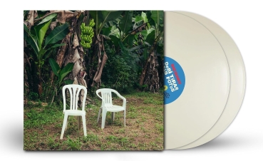 Bad Bunny - Debí Tirar Más Fotos - 2LP