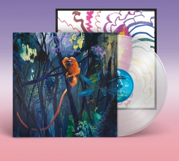 Bonnie "Prince" Billy - We Are Together Again - Limited LP