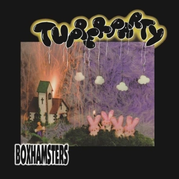 Boxhamsters - Tupperparty - LP