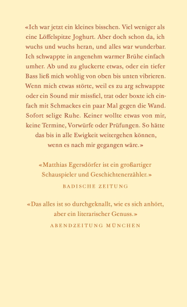 Matthias Egersdörfer - Vorstadtprinz - Taschenbuch