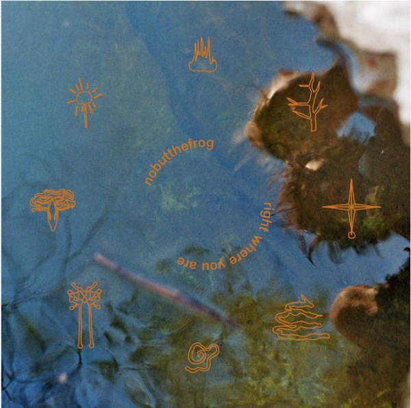 NoButTheFrog - Right Where You Are - LP
