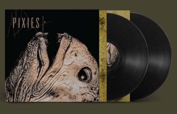 Pixies - Complete B Sides - 2LP