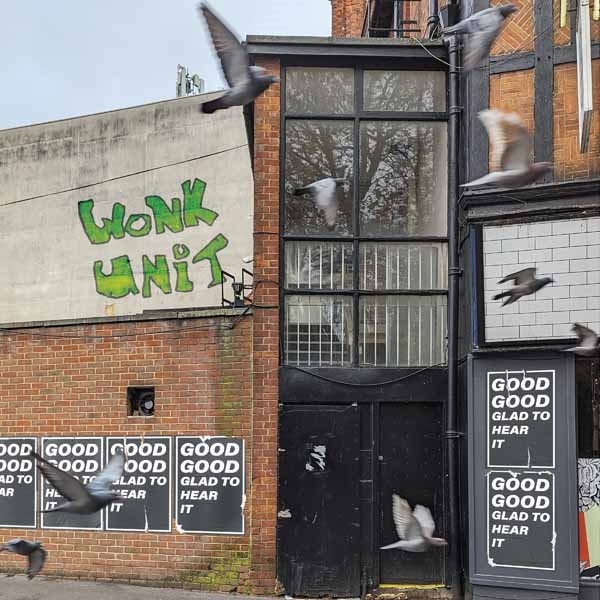 Wonk Unit - Good Good Glad To Hear It - LP